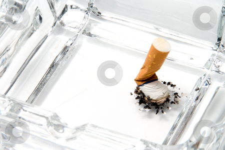To use this stock image in your creative project, please select the size you need over to the right and click the "Add to Cart" button.
Your downloaded image will come with the Cutcaster watermark removed so don’t worry about the watermark you see on this page. Cigarette Butt stock photo, A discarded cigarette butt in an ashtray. by Robert Byron