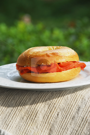 To use this stock image in your creative project, please select the size you need over to the right and click the "Add to Cart" button.
Your downloaded image will come with the Cutcaster watermark removed so don’t worry about the watermark you see on this page. Lox and Bagel stock photo, by Timothy OLeary