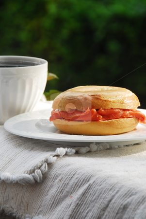 To use this stock image in your creative project, please select the size you need over to the right and click the "Add to Cart" button.
Your downloaded image will come with the Cutcaster watermark removed so don’t worry about the watermark you see on this page. Lox and Bagel stock photo, by Timothy OLeary
