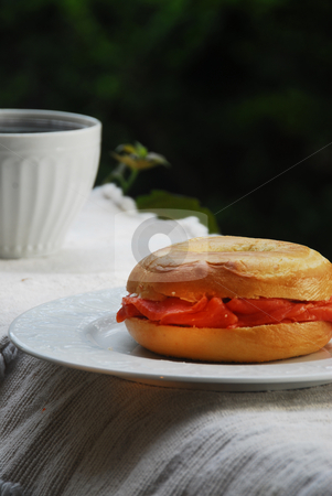 To use this stock image in your creative project, please select the size you need over to the right and click the "Add to Cart" button.
Your downloaded image will come with the Cutcaster watermark removed so don’t worry about the watermark you see on this page. Lox and Bagel stock photo, by Timothy OLeary