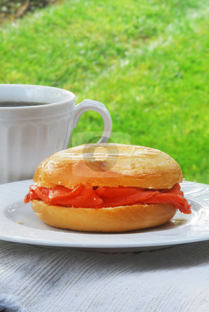 To use this stock image in your creative project, please select the size you need over to the right and click the "Add to Cart" button.
Your downloaded image will come with the Cutcaster watermark removed so don’t worry about the watermark you see on this page. Lox and Bagel stock photo, by Timothy OLeary