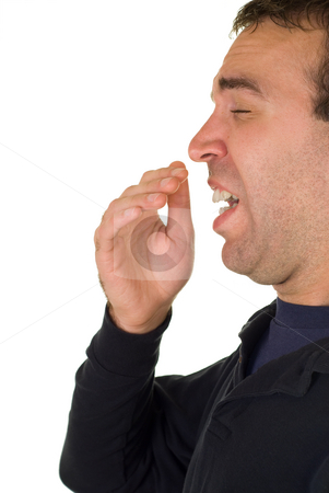 To use this stock image in your creative project, please select the size you need over to the right and click the "Add to Cart" button.
Your downloaded image will come with the Cutcaster watermark removed so don’t worry about the watermark you see on this page. Sneezing Man stock photo, A man about to sneeze, isolated on a white background by Richard Nelson