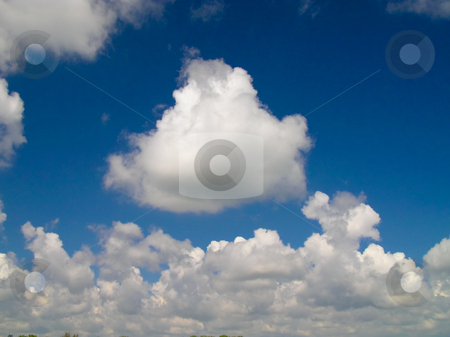 To use this stock image in your creative project, please select the size you need over to the right and click the "Add to Cart" button.
Your downloaded image will come with the Cutcaster watermark removed so don’t worry about the watermark you see on this page. White Clouds In A Blue Sky stock photo, White Clouds in A Bright Blue Sky by Johan Knelsen