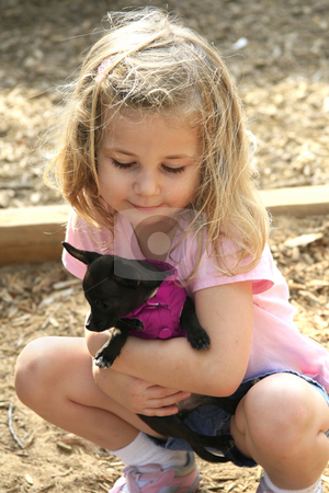 To use this stock image in your creative project, please select the size you need over to the right and click the "Add to Cart" button.
Your downloaded image will come with the Cutcaster watermark removed so don’t worry about the watermark you see on this page. Little girl with dog stock photo, Little girl holding a tiny puppy by Anita Peppers