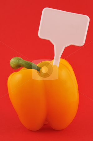 To use this stock image in your creative project, please select the size you need over to the right and click the "Add to Cart" button.
Your downloaded image will come with the Cutcaster watermark removed so don’t worry about the watermark you see on this page. Yellow paprika stock photo, Yellow paprika with price tag against red backgound by Csaba Zsarnowszky