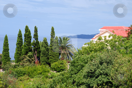 To use this stock image in your creative project, please select the size you need over to the right and click the "Add to Cart" button.
Your downloaded image will come with the Cutcaster watermark removed so don’t worry about the watermark you see on this page. House on seaside stock photo, House with red tiled roof in montenegro by Julija Sapic