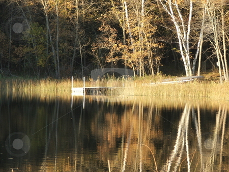 To use this stock image in your creative project, please select the size you need over to the right and click the "Add to Cart" button.
Your downloaded image will come with the Cutcaster watermark removed so don’t worry about the watermark you see on this page. Fall On Golden Pond stock photo, This secluded, quiet, setting on Kimble Lake, near the Whitefish Chain in north central Minnesota, transports visitors to the fall days of their youth with the golden, yellow, colors and reflected birch trees. by Dennis Thomsen
