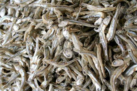 To use this stock image in your creative project, please select the size you need over to the right and click the "Add to Cart" button.
Your downloaded image will come with the Cutcaster watermark removed so don’t worry about the watermark you see on this page. Dried fish stock photo, Dried preserved salted fish, a traditional asian food by Kheng Guan Toh