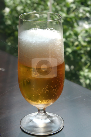 To use this stock image in your creative project, please select the size you need over to the right and click the "Add to Cart" button.
Your downloaded image will come with the Cutcaster watermark removed so don’t worry about the watermark you see on this page. Glass of beer stock photo, A glass of beer outdoor setting greenery by Kheng Guan Toh