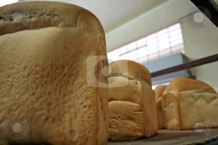 To use this stock image in your creative project, please select the size you need over to the right and click the "Add to Cart" button.
Your downloaded image will come with the Cutcaster watermark removed so don’t worry about the watermark you see on this page. Bakery bread stock photo, Rows of bread loaves in racks in a bakery by Kheng Guan Toh