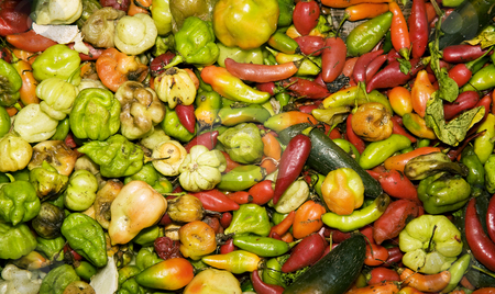 To use this stock image in your creative project, please select the size you need over to the right and click the "Add to Cart" button.
Your downloaded image will come with the Cutcaster watermark removed so don’t worry about the watermark you see on this page. South American Peppers stock photo, Variety of red and green South American peppers by Scott Griessel
