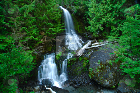 To use this stock image in your creative project, please select the size you need over to the right and click the "Add to Cart" button.
Your downloaded image will come with the Cutcaster watermark removed so don’t worry about the watermark you see on this page. Garden of Eden stock photo, A silky smooth waterfall in the forest of rainier national park by Nilanjan Bhattacharya