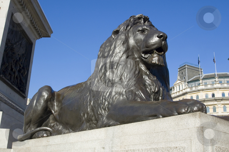 To use this stock image in your creative project, please select the size you need over to the right and click the "Add to Cart" button.
Your downloaded image will come with the Cutcaster watermark removed so don’t worry about the watermark you see on this page. Guard Lion from National Gallerie's Square stock photo, Lion from Nelson's Column in Trafalgar Square before the National Gallery. by Lee Torrens