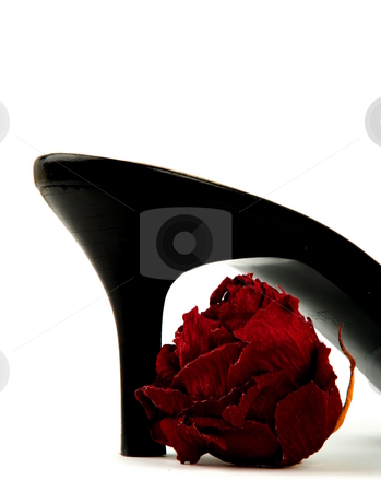 To use this stock image in your creative project, please select the size you need over to the right and click the "Add to Cart" button.
Your downloaded image will come with the Cutcaster watermark removed so don’t worry about the watermark you see on this page. Shoe stock photo, Shoes in closeup by Steen Bartholin Nielsen