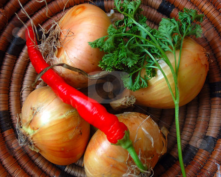 To use this stock image in your creative project, please select the size you need over to the right and click the "Add to Cart" button.
Your downloaded image will come with the Cutcaster watermark removed so don’t worry about the watermark you see on this page. Onions in a basket stock photo, Onions are part of many good dishes by Lars Kastilan