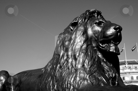 To use this stock image in your creative project, please select the size you need over to the right and click the "Add to Cart" button.
Your downloaded image will come with the Cutcaster watermark removed so don’t worry about the watermark you see on this page. Guard Lion from National Gallery's Square stock photo, Lion from Nelson's Column in Trafalgar Square by Lee Torrens