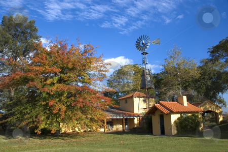To use this stock image in your creative project, please select the size you need over to the right and click the "Add to Cart" button.
Your downloaded image will come with the Cutcaster watermark removed so don’t worry about the watermark you see on this page. Rural Farmhouse in Autumn stock photo, A well-maintained colonial style farmhouse with a large autumn tree by Lee Torrens