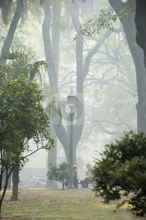 To use this stock image in your creative project, please select the size you need over to the right and click the "Add to Cart" button.
Your downloaded image will come with the Cutcaster watermark removed so don’t worry about the watermark you see on this page. Park Mist stock photo, A smokey mist fills a city park by Lee Torrens