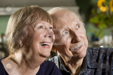 To use this stock image in your creative project, please select the size you need over to the right and click the "Add to Cart" button.
Your downloaded image will come with the Cutcaster watermark removed so don’t worry about the watermark you see on this page. Portrait of Senior Couple stock photo, Close Up Portrait of Senior Couple by Scott Griessel