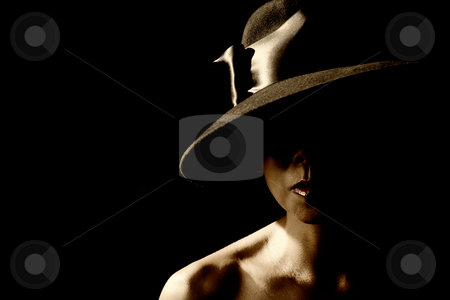 To use this stock image in your creative project, please select the size you need over to the right and click the "Add to Cart" button.
Your downloaded image will come with the Cutcaster watermark removed so don’t worry about the watermark you see on this page. Woman in shadow wearing a black hat stock photo, Mysterious woman in shadows wearing vintage black hat by Scott Griessel