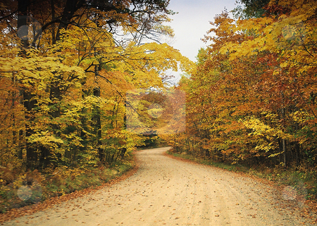 To use this stock image in your creative project, please select the size you need over to the right and click the "Add to Cart" button.
Your downloaded image will come with the Cutcaster watermark removed so don’t worry about the watermark you see on this page. Fall colors_road through Minnesota autumn woods stock photo, The Norhern Minneota woods shows off its Fall colors to frame this sandy clay lake road. by Bruce Peterson