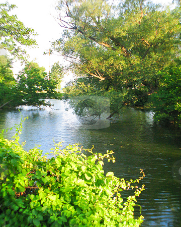 To use this stock image in your creative project, please select the size you need over to the right and click the "Add to Cart" button.
Your downloaded image will come with the Cutcaster watermark removed so don’t worry about the watermark you see on this page. Scenic Park_Yahara River_ Madison, WI stock photo, The golden glow of the morning sun brightens the trees and landmarks of this park that features the clear running water of Madison, Wisconsin'sYahara River. by Bruce Peterson