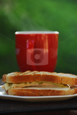 To use this stock image in your creative project, please select the size you need over to the right and click the "Add to Cart" button.
Your downloaded image will come with the Cutcaster watermark removed so don’t worry about the watermark you see on this page. Panini in the Morning stock photo, by Timothy OLeary