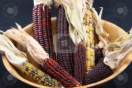 To use this stock image in your creative project, please select the size you need over to the right and click the "Add to Cart" button.
Your downloaded image will come with the Cutcaster watermark removed so don’t worry about the watermark you see on this page. Bowl of Corn stock photo, by George Botta