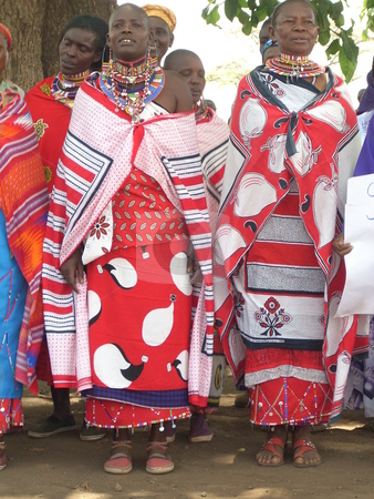 To use this stock image in your creative project, please select the size you need over to the right and click the "Add to Cart" button.
Your downloaded image will come with the Cutcaster watermark removed so don’t worry about the watermark you see on this page. Young Masai Women singing stock photo, Masai women dressed in traditional clothes and beads singing under a tree. by Rose Nthiwa