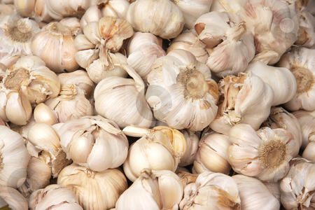To use this stock image in your creative project, please select the size you need over to the right and click the "Add to Cart" button.
Your downloaded image will come with the Cutcaster watermark removed so don’t worry about the watermark you see on this page. Whole garlic stock photo, Piles of many whole unpeeled raw garlic by Kheng Guan Toh