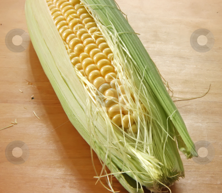 To use this stock image in your creative project, please select the size you need over to the right and click the "Add to Cart" button.
Your downloaded image will come with the Cutcaster watermark removed so don’t worry about the watermark you see on this page. Fresh ear of corn stock photo, Whole fresh raw corn on the cob with husk by Kheng Guan Toh
