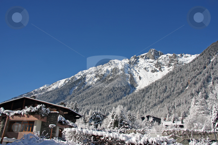 To use this stock image in your creative project, please select the size you need over to the right and click the "Add to Cart" button.
Your downloaded image will come with the Cutcaster watermark removed so don’t worry about the watermark you see on this page. Alpine cabin stock photo, Traditional alpine cabin in the mountains of Chamonix French Alps by Kheng Guan Toh