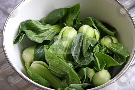 To use this stock image in your creative project, please select the size you need over to the right and click the "Add to Cart" button.
Your downloaded image will come with the Cutcaster watermark removed so don’t worry about the watermark you see on this page. Green vegetables stock photo, Green leafy raw chinese vegetables baby bakchoy by Kheng Guan Toh