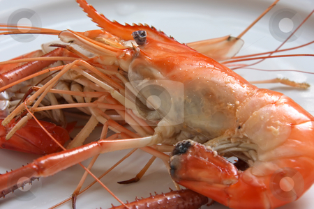 To use this stock image in your creative project, please select the size you need over to the right and click the "Add to Cart" button.
Your downloaded image will come with the Cutcaster watermark removed so don’t worry about the watermark you see on this page. Cooked prawn stock photo, Whole fresh raw prawns in shell unpeeled by Kheng Guan Toh