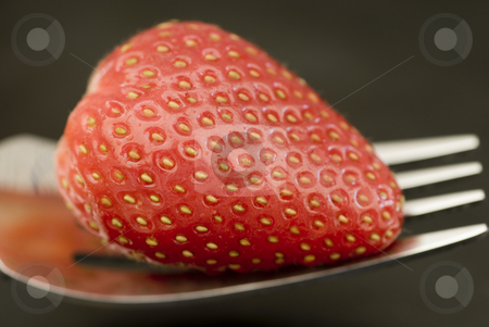 To use this stock image in your creative project, please select the size you need over to the right and click the "Add to Cart" button.
Your downloaded image will come with the Cutcaster watermark removed so don’t worry about the watermark you see on this page. Ripe strawberry stock photo, A strawberry on a fork, ripe for eating by Stephen Gibson