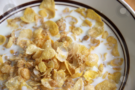 To use this stock image in your creative project, please select the size you need over to the right and click the "Add to Cart" button.
Your downloaded image will come with the Cutcaster watermark removed so don’t worry about the watermark you see on this page. Corn flakes in milk stock photo, Bowl of breakfast cereal corn flakes in milk by Kheng Guan Toh