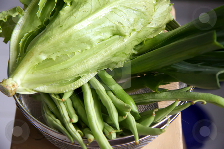 To use this stock image in your creative project, please select the size you need over to the right and click the "Add to Cart" button.
Your downloaded image will come with the Cutcaster watermark removed so don’t worry about the watermark you see on this page. Fresh lettuce stock photo, Fresh lettuce and green vegetables in colander by Kheng Guan Toh