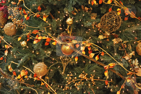 To use this stock image in your creative project, please select the size you need over to the right and click the "Add to Cart" button.
Your downloaded image will come with the Cutcaster watermark removed so don’t worry about the watermark you see on this page. Orange christmas stock photo, Gold and orange themed christmas festive ornamental decorations by Kheng Guan Toh