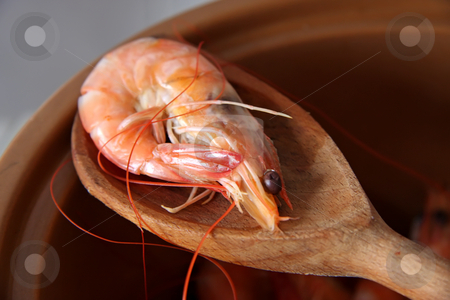 To use this stock image in your creative project, please select the size you need over to the right and click the "Add to Cart" button.
Your downloaded image will come with the Cutcaster watermark removed so don’t worry about the watermark you see on this page. Whole cooked prawns stock photo, Whole fresh cooked prawns in shell unpeeled by Kheng Guan Toh