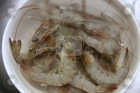 To use this stock image in your creative project, please select the size you need over to the right and click the "Add to Cart" button.
Your downloaded image will come with the Cutcaster watermark removed so don’t worry about the watermark you see on this page. Whole raw prawns stock photo, Whole fresh raw prawns in shell unpeeled soaking in water by Kheng Guan Toh