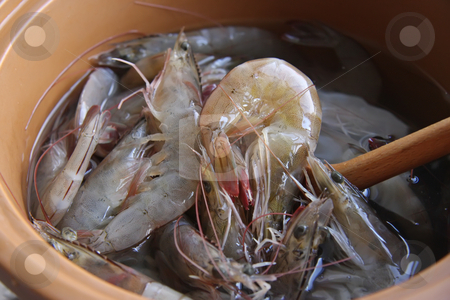 To use this stock image in your creative project, please select the size you need over to the right and click the "Add to Cart" button.
Your downloaded image will come with the Cutcaster watermark removed so don’t worry about the watermark you see on this page. Whole raw prawns stock photo, Whole fresh raw prawns in shell unpeeled by Kheng Guan Toh