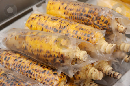 To use this stock image in your creative project, please select the size you need over to the right and click the "Add to Cart" button.
Your downloaded image will come with the Cutcaster watermark removed so don’t worry about the watermark you see on this page. Corn on the cob stock photo, Grilled roasted corn on the cob wrapped ready to eat by Kheng Guan Toh