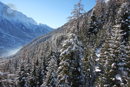 To use this stock image in your creative project, please select the size you need over to the right and click the "Add to Cart" button.
Your downloaded image will come with the Cutcaster watermark removed so don’t worry about the watermark you see on this page. Chamonix forest mountain stock photo, Forest covered snowy mountains in Chamonix mountains of France by Kheng Guan Toh