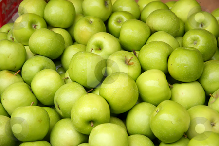 To use this stock image in your creative project, please select the size you need over to the right and click the "Add to Cart" button.
Your downloaded image will come with the Cutcaster watermark removed so don’t worry about the watermark you see on this page. Pile of green apples stock photo, Pile of many fresh green apples in the market by Kheng Guan Toh