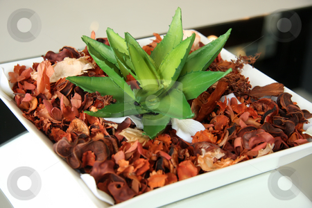 To use this stock image in your creative project, please select the size you need over to the right and click the "Add to Cart" button.
Your downloaded image will come with the Cutcaster watermark removed so don’t worry about the watermark you see on this page. Decorative houseplant stock photo, Decorative houseplant on potpourrie modern elegant design by Kheng Guan Toh