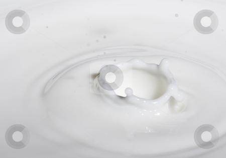 To use this stock image in your creative project, please select the size you need over to the right and click the "Add to Cart" button.
Your downloaded image will come with the Cutcaster watermark removed so don’t worry about the watermark you see on this page. Drop milk stock photo, A drop splash of withe liquid or milk by Ivan Montero