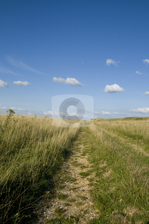 To use this stock image in your creative project, please select the size you need over to the right and click the "Add to Cart" button.
Your downloaded image will come with the Cutcaster watermark removed so don’t worry about the watermark you see on this page. Ancient Drove Road, Dorset, England stock photo, An ancient drove road which was used for moving livestock to market by Chris Pole