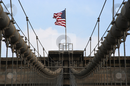 To use this stock image in your creative project, please select the size you need over to the right and click the "Add to Cart" button.
Your downloaded image will come with the Cutcaster watermark removed so don’t worry about the watermark you see on this page. Brooklyn Bridge stock photo, Brooklyn Bridge cables with American Flag by Ryan Bouie