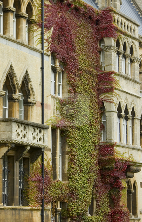 To use this stock image in your creative project, please select the size you need over to the right and click the "Add to Cart" button.
Your downloaded image will come with the Cutcaster watermark removed so don’t worry about the watermark you see on this page. Facade of Christchurch Univeristy (Oxford) stock photo, Gothic style showing the front of the famous Christchurch Univeristy in England by Lee Torrens
