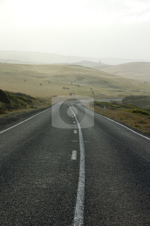 To use this stock image in your creative project, please select the size you need over to the right and click the "Add to Cart" button.
Your downloaded image will come with the Cutcaster watermark removed so don’t worry about the watermark you see on this page. Misty Morning Country Road stock photo, A country road winds through farmland on a misty morning. by Lee Torrens